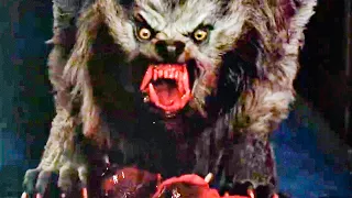 50 Best Werewolf Movies Review | Top Ranking 2024