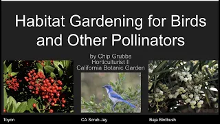 Habitat Gardening for Birds and Other Pollinators with Chip Grubbs, Horticulturist at CalBG