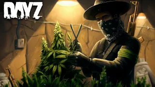 MY RICHEST UNDERGROUND DRUG EMPIRE in DayZ - PART 5 (Movie)