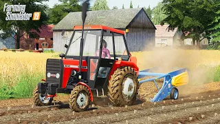 🔥 Potatoes for Dinner, DoSii Digging 🦹‍♀️👨🏼‍🌾 Farmers from the City 😍 Farming Simulator 19 🚜