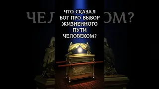 Что сказал Бог про выбор жизненного пути человеком? Притчи 14:12 #библия #выбор #shorts