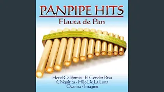 Hijo de la luna (Flauta de Pan Version)