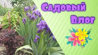 Садовый Влог 🌱🌳 | #садоводство #сад #садовод #садогород #садиогород