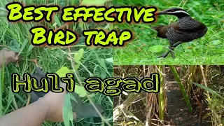 Best effective bird trap@rmptv6321