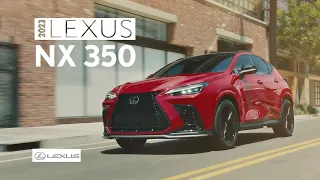 2023 Lexus NX 350 vs BMW X3