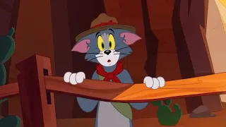 Tom and jerry cartoon network|Tom And Jerry-The Fast And The Furry