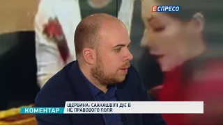 Щербина: Сейчас действия Саакашвили раскалывают общество