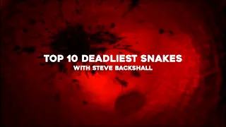 Top 10 Deadliest Snakes