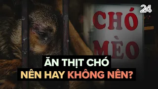 Ăn thịt chó - Nên hay không? | VTV24