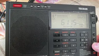 Tecsun Pl-990x vs Pl-680 listening to  Radio New Zealand International.