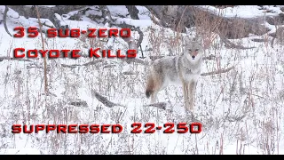 35 Sub Zero Coyote Kills (Epic Winter Coyote Hunting)