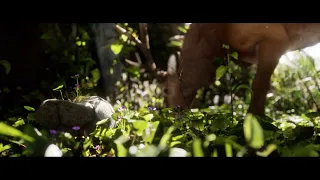 The Boy & The Deer UE4 Cinematic