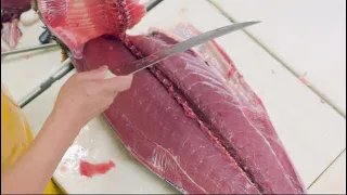 Cutting fish / Bluefin Tuna is As Easy As Cutting Cream10kg의 참다랑어 절단은 크림 절단만큼 쉽습니다.