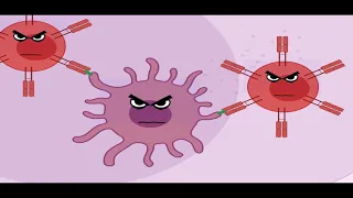 What happens to your body when you are infected with Covid-19 ?! [Animation]