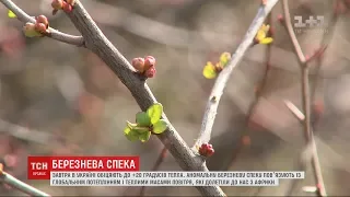 Березнева спека: синоптики обіцяють +20 на термометрі