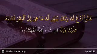 Al-Baqarah ayat 70