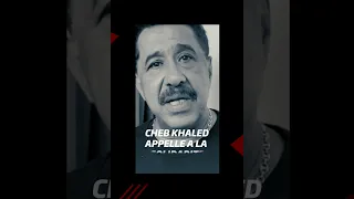 Algériens Solidaires : Cheb Khaled