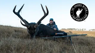 North America Deer Slam - California Sambar on Hearst Ranch | Mark V. Peterson Hunting