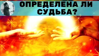 Определена ли судьба? Священник Максим Каскун