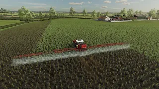 FS 22 Shire Farm (Journey to 2000 Dairy Cows) * 21 * Spraying Weeds with Herbicide & Fertilising