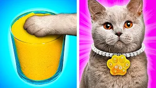 VERLIES JE HUISDIER NIET 🙀 || Handige gadgets en hacks voor dierenbaasjes! door 123 GO!