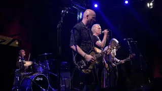 Radio Birdman - TV eye (The Stooges) - 2018 Live Locomotiv Club - Bologna (Italy)