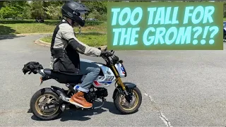 Too big or too tall to ride a grom?