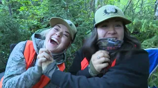 Chasse à l'ours SEPAQ Laurentides 2023