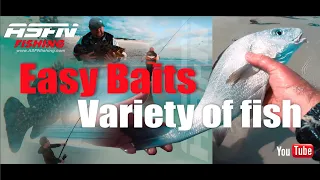 Easy BAITS, Variety of FISH!!! | Scratching Mission ​⁠| ASFN Rock & Surf