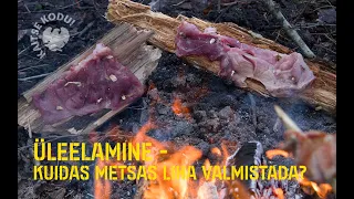 Üleelamine - Kuidas metsas liha valmistada?