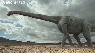 The Colossal Tambatitanis - DINOSAURS