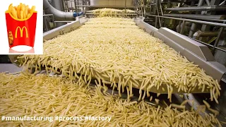 🔴How To Make French Fries Made. Potatoes Food Technology. Potatoes Machine Harvesting #manufacturing