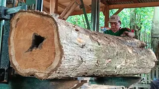 sawing hollow teak wood full of beautiful grain at the sawmill