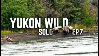 14 Days Solo Camping in the Yukon Wilderness - E.7 - Grizzly Bears & Pancakes for Dinner