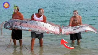 This Fish Can Survive Being Cut in Half | The Oarfish