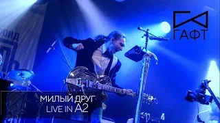 группа ГАФТ – «Милый друг» (Live in A2)