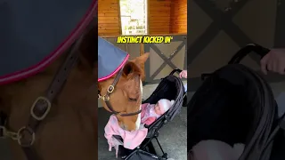 A horse's reaction when meeting a baby ❤️ #shorts