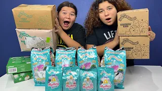We  bought SQUISHMALLOW MYSTERY BOXES from Amazon