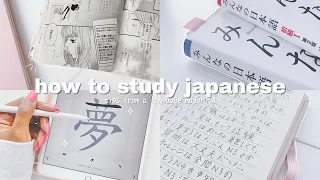 how i study japanese- tips from an actual language major | THE ULTIMATE GUIDE