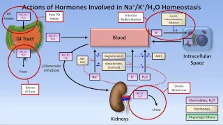 Hypokalemia