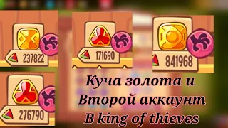 Куча золотых камней результат арены и кемп твинк в king of thieves