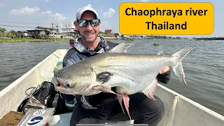 Black ear Catfish. Fishing in Thailand, Chaophraya river, Captain Nat  กัปตันณัฐ เจ้าพระยา