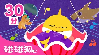 寶寶最愛睡前兒歌特輯 | 床邊兒歌 晚安曲 🌙  連續播放 童謠 兒歌 | 鯊魚寶寶 Baby Shark 碰碰狐 Pinkfong!