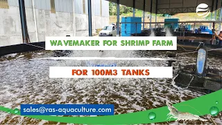 Wavemakers for 100m3 high intensity shrimp farming tanks