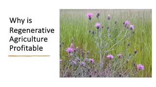 Why is Regenerative Agriculture Profitable-Russ Wilson