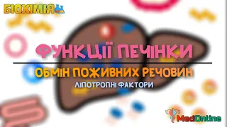 Метаболізм Печінки | Обмін Вуглеводів, Ліпідів, Амінокислот, Ліпотропні Фактори