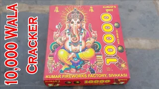 10,000 wala fire cracker | diwali fireworks | fireworks show