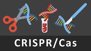CRISPR-Cas einfach erklärt | Gentechnik | CrisprCas9