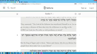 Parsha Shemot read by the Hebrew Torah Reading Team on 17/18 Jan 2020