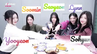 [ENG SUB] tripleS SIGNAL LIVE 240207 (Seoyeon, Yooyeon, Soomin, Sohyun, Lynn)트리플에스 Confessions